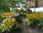 Save Salford Nurseries Fun Day